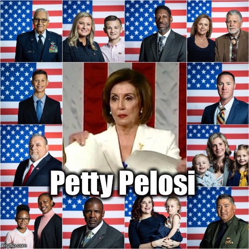 Petty Pelosi | Petty Pelosi | image tagged in liberal tears,petty pelosi,trump derangement syndrome | made w/ Imgflip meme maker