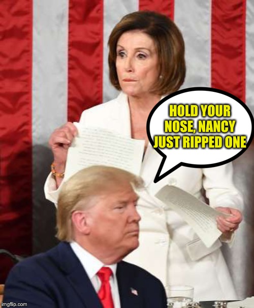 Image result for pelosi speech memes"