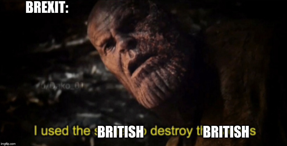 I used the stones to destroy the stones | BREXIT:; BRITISH                       BRITISH | image tagged in i used the stones to destroy the stones | made w/ Imgflip meme maker