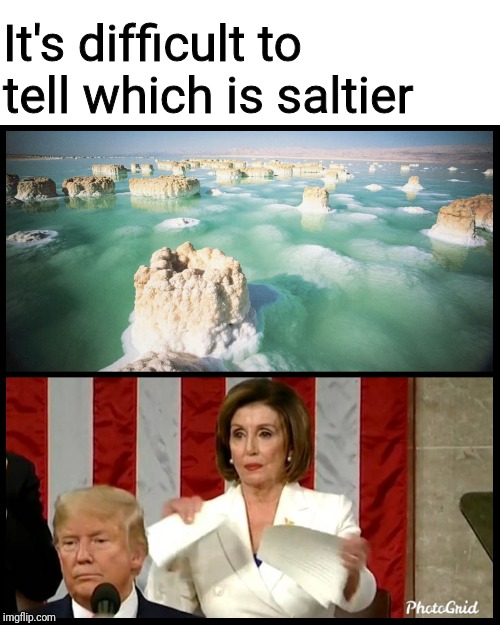 It's difficult to tell which is saltier | image tagged in sotu,nancy pelosi,funny memes | made w/ Imgflip meme maker