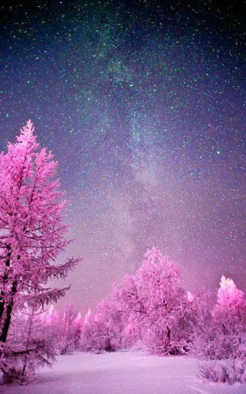 High Quality Pink Trees Galaxy Blank Meme Template