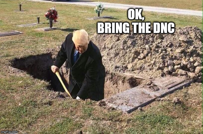 Grave | OK, BRING THE DNC | image tagged in grave | made w/ Imgflip meme maker