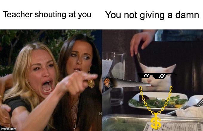 Woman Yelling At Cat | Teacher shouting at you; You not giving a damn | image tagged in memes,woman yelling at cat | made w/ Imgflip meme maker