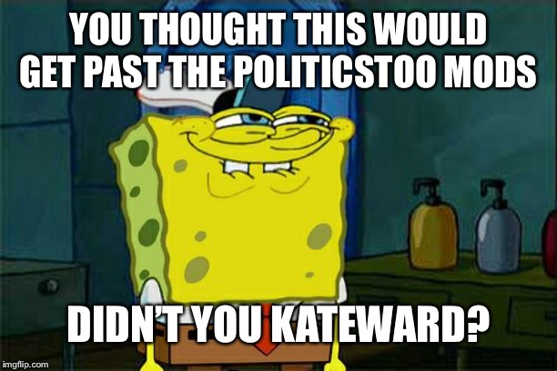 Don't You Squidward Meme | YOU THOUGHT THIS WOULD GET PAST THE POLITICSTOO MODS DIDN’T YOU KATEWARD? | image tagged in memes,dont you squidward | made w/ Imgflip meme maker