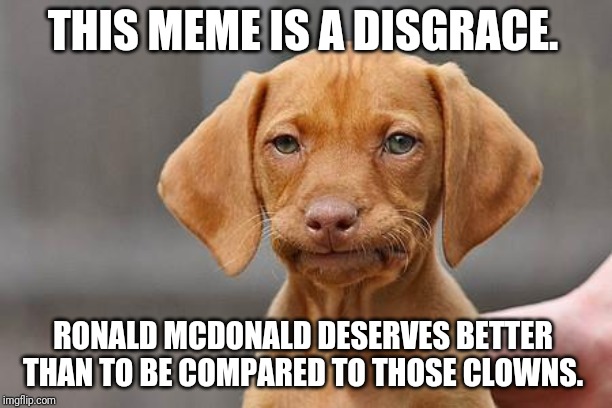 Dissapointed puppy | THIS MEME IS A DISGRACE. RONALD MCDONALD DESERVES BETTER THAN TO BE COMPARED TO THOSE CLOWNS. | image tagged in dissapointed puppy | made w/ Imgflip meme maker