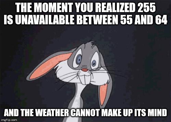 bugs bunny crazy face | THE MOMENT YOU REALIZED 255 IS UNAVAILABLE BETWEEN 55 AND 64; AND THE WEATHER CANNOT MAKE UP ITS MIND | image tagged in bugs bunny crazy face | made w/ Imgflip meme maker