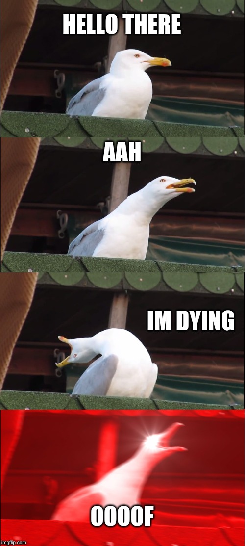 Inhaling Seagull | HELLO THERE; AAH; IM DYING; OOOOF | image tagged in memes,inhaling seagull | made w/ Imgflip meme maker