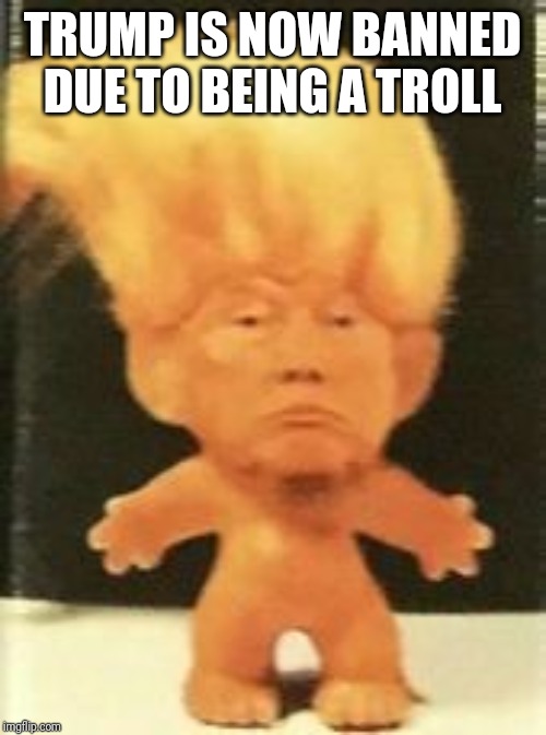 Trumpy the troll | TRUMP IS NOW BANNED DUE TO BEING A TROLL | image tagged in troll,donald trump,donald trump the clown,banned,politics | made w/ Imgflip meme maker