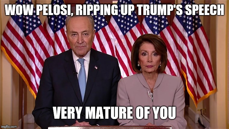 Pelosi and Schumer | WOW PELOSI, RIPPING UP TRUMP'S SPEECH; VERY MATURE OF YOU | image tagged in pelosi and schumer | made w/ Imgflip meme maker