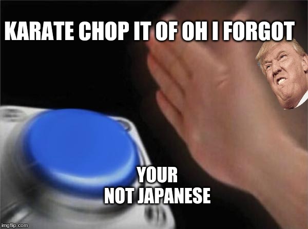 Blank Nut Button | KARATE CHOP IT OF OH I FORGOT; YOUR NOT JAPANESE | image tagged in memes,blank nut button | made w/ Imgflip meme maker