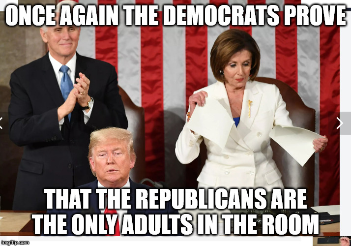 ONCE AGAIN THE DEMOCRATS PROVE; THAT THE REPUBLICANS ARE THE ONLY ADULTS IN THE ROOM | image tagged in truth | made w/ Imgflip meme maker