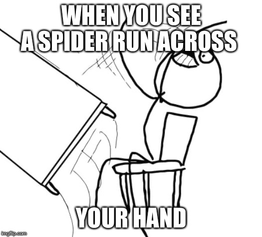 Table Flip Guy Meme | WHEN YOU SEE A SPIDER RUN ACROSS; YOUR HAND | image tagged in memes,table flip guy | made w/ Imgflip meme maker