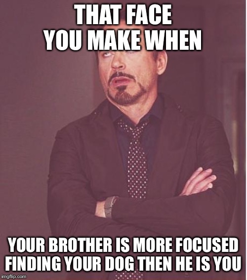 Face You Make Robert Downey Jr | THAT FACE YOU MAKE WHEN; YOUR BROTHER IS MORE FOCUSED FINDING YOUR DOG THEN HE IS YOU | image tagged in memes,face you make robert downey jr | made w/ Imgflip meme maker