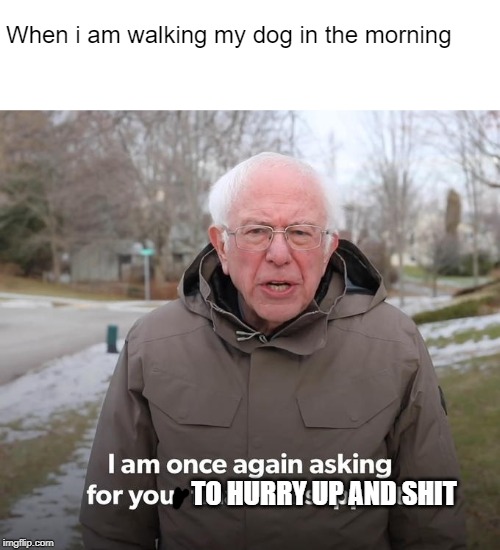 Bernie Financial Support | When i am walking my dog in the morning; TO HURRY UP AND SHIT | image tagged in bernie financial support,dogs,walking the dog,dog | made w/ Imgflip meme maker