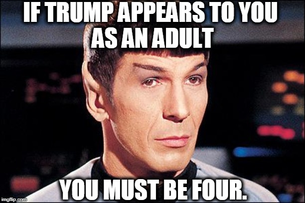 Condescending Spock | IF TRUMP APPEARS TO YOU 
AS AN ADULT YOU MUST BE FOUR. | image tagged in condescending spock | made w/ Imgflip meme maker