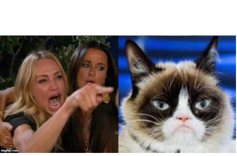 High Quality Woman yelling a Grumpy Cat Blank Meme Template