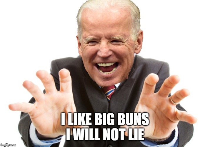 i like big buns | I LIKE BIG BUNS
I WILL NOT LIE | image tagged in joe biden,big buns,grab ass,grab,feely | made w/ Imgflip meme maker