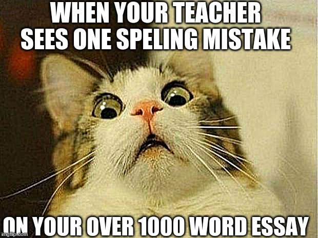 Scared Cat Meme | WHEN YOUR TEACHER SEES ONE SPELING MISTAKE; ON YOUR OVER 1000 WORD ESSAY | image tagged in memes,scared cat | made w/ Imgflip meme maker