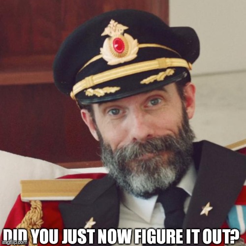 Captain Obvious | DID YOU JUST NOW FIGURE IT OUT? | image tagged in captain obvious | made w/ Imgflip meme maker
