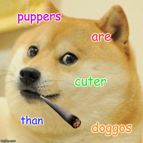 Doge Meme | puppers; are; cuter; than; doggos | image tagged in memes,doge | made w/ Imgflip meme maker