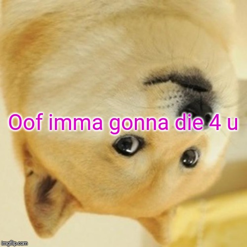 Doge | Oof imma gonna die 4 u | image tagged in memes,doge | made w/ Imgflip meme maker