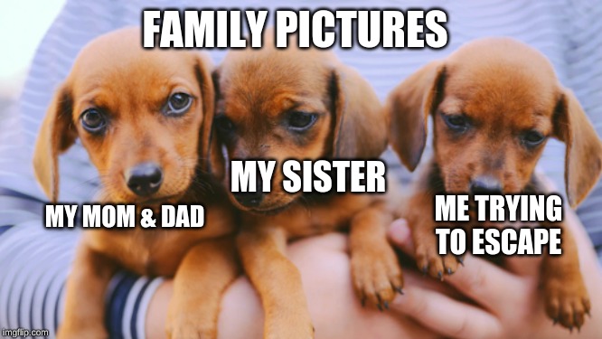 For Reals tho | FAMILY PICTURES; MY SISTER; ME TRYING TO ESCAPE; MY MOM & DAD | image tagged in family,dogs | made w/ Imgflip meme maker