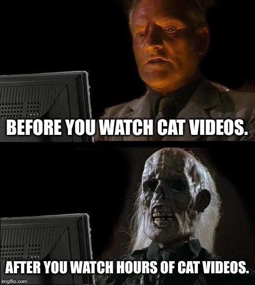 I'll Just Wait Here | BEFORE YOU WATCH CAT VIDEOS. AFTER YOU WATCH HOURS OF CAT VIDEOS. | image tagged in memes,ill just wait here | made w/ Imgflip meme maker