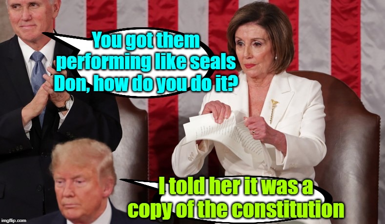 Proper pre-planning | You got them performing like seals Don, how do you do it? I told her it was a copy of the constitution | image tagged in maga,trump 2020,nancy pelosi,donald trump,state of the union | made w/ Imgflip meme maker