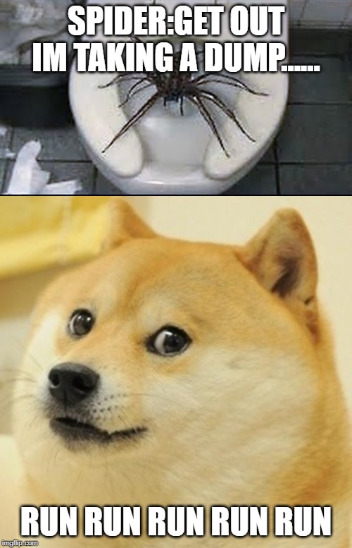 Just leave the spider and burn the house | SPIDER:GET OUT IM TAKING A DUMP...... RUN RUN RUN RUN RUN | image tagged in memes,doge,run | made w/ Imgflip meme maker