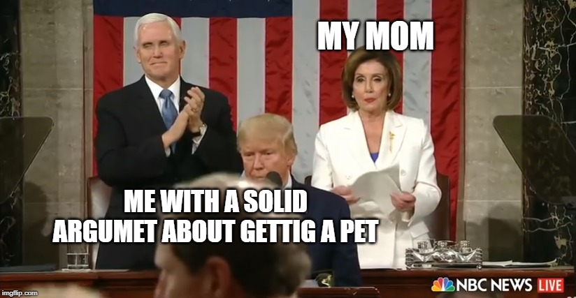 bc ews | MY MOM; ME WITH A SOLID ARGUMET ABOUT GETTIG A PET | image tagged in funny | made w/ Imgflip meme maker