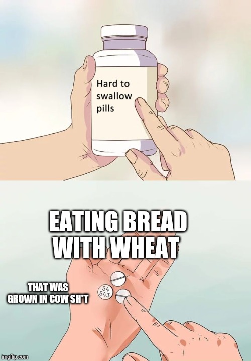 Hard To Swallow Pills | EATING BREAD WITH WHEAT; THAT WAS GROWN IN COW SH*T | image tagged in memes,hard to swallow pills | made w/ Imgflip meme maker