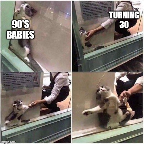 Not Ready Cat | TURNING
30; 90'S
BABIES | image tagged in not ready cat | made w/ Imgflip meme maker