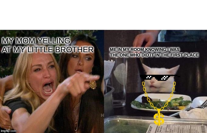 Woman Yelling At Cat | MY MOM YELLING AT MY LITTLE BROTHER; ME IN MY ROOM KNOWING I WAS THE ONE WHO DID IT IN THE FIRST PLACE | image tagged in memes,woman yelling at cat | made w/ Imgflip meme maker