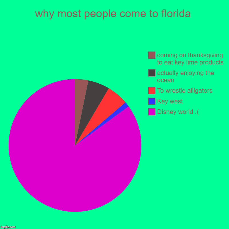 why most people come to florida | Disney world :(, Key west  , To wrestle alligators, actually enjoying the ocean, coming on thanksgiving to | image tagged in charts,pie charts | made w/ Imgflip chart maker