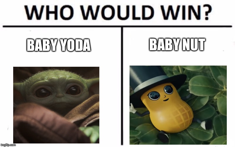 Who Would Win? | BABY NUT; BABY YODA | image tagged in memes,who would win | made w/ Imgflip meme maker