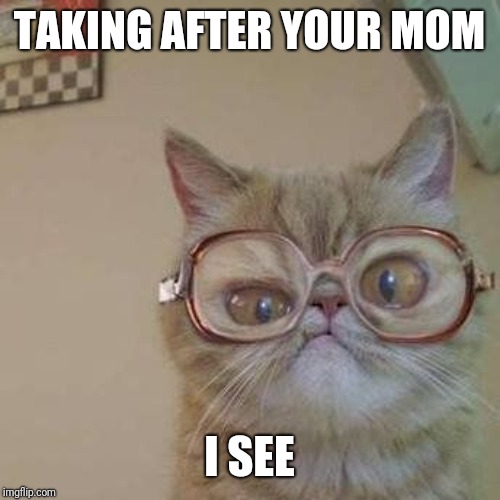 Funny Cat with Glasses | TAKING AFTER YOUR MOM I SEE | image tagged in funny cat with glasses | made w/ Imgflip meme maker