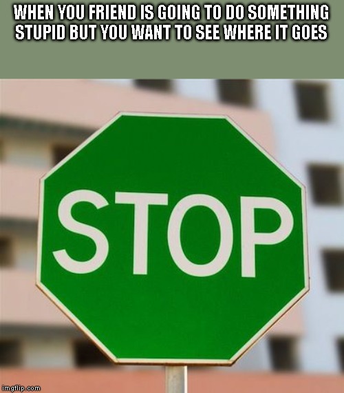 Green stop sign  | WHEN YOU FRIEND IS GOING TO DO SOMETHING STUPID BUT YOU WANT TO SEE WHERE IT GOES | image tagged in green stop sign | made w/ Imgflip meme maker