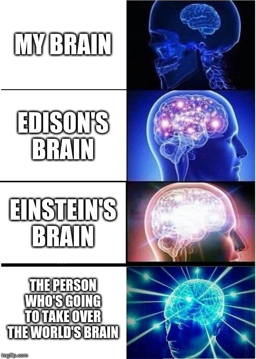 Expanding Brain Meme | MY BRAIN; EDISON'S BRAIN; EINSTEIN'S BRAIN; THE PERSON WHO'S GOING TO TAKE OVER THE WORLD'S BRAIN | image tagged in memes,expanding brain | made w/ Imgflip meme maker