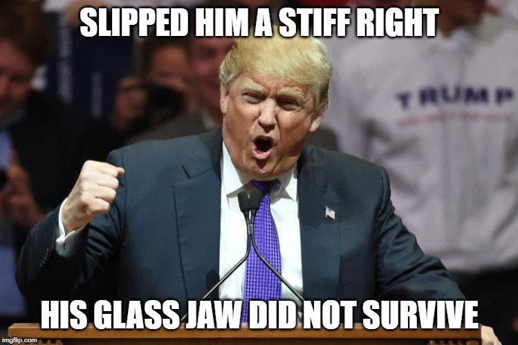 Don's lead hands | SLIPPED HIM A STIFF RIGHT; HIS GLASS JAW DID NOT SURVIVE | image tagged in fist,boxing,fight,fight club,trump,donald trump | made w/ Imgflip meme maker