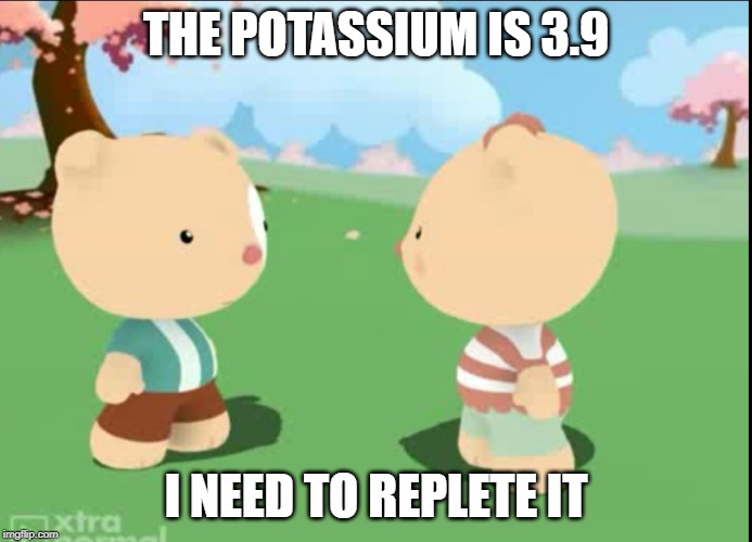 THE POTASSIUM IS 3.9; I NEED TO REPLETE IT | image tagged in Residency | made w/ Imgflip meme maker