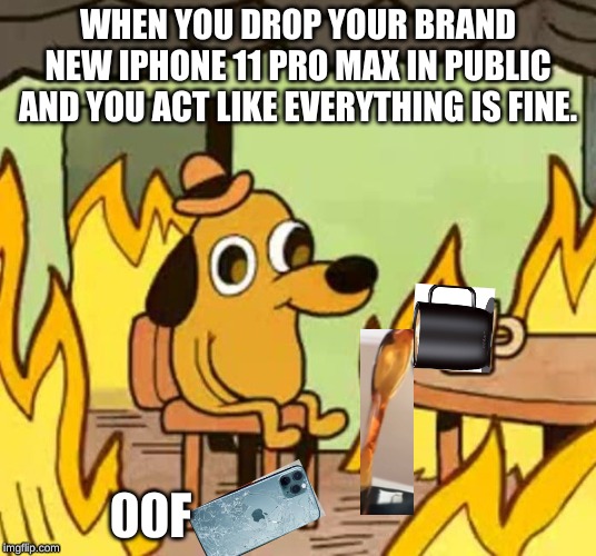 Its fine | WHEN YOU DROP YOUR BRAND NEW IPHONE 11 PRO MAX IN PUBLIC AND YOU ACT LIKE EVERYTHING IS FINE. 00F | image tagged in its fine | made w/ Imgflip meme maker