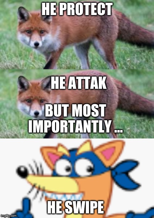fox meme | HE PROTECT; HE ATTAK; BUT MOST IMPORTANTLY ... HE SWIPE | image tagged in memes | made w/ Imgflip meme maker