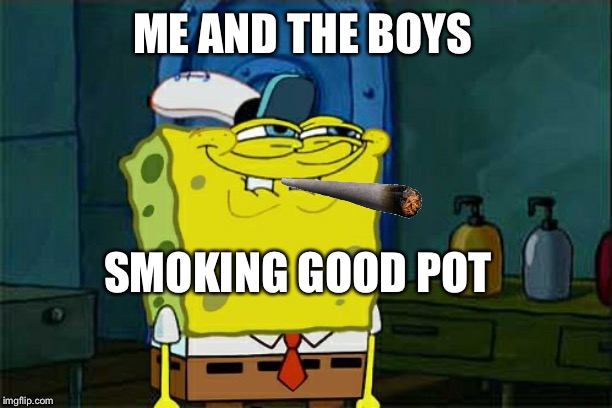 Don't You Squidward | ME AND THE BOYS; SMOKING GOOD POT | image tagged in memes,dont you squidward | made w/ Imgflip meme maker