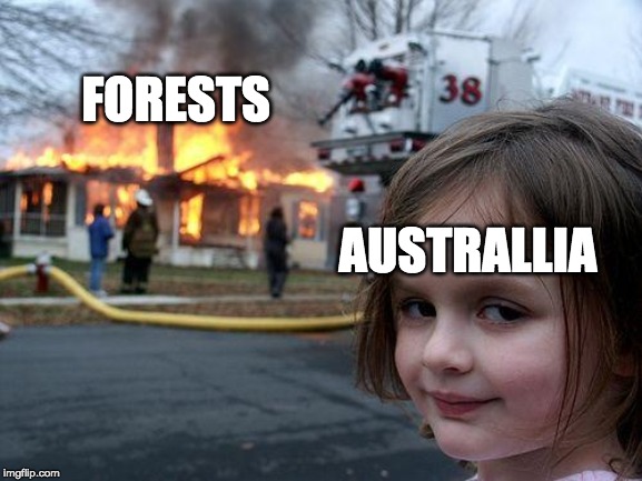 Disaster Girl Meme | FORESTS; AUSTRALLIA | image tagged in memes,disaster girl | made w/ Imgflip meme maker
