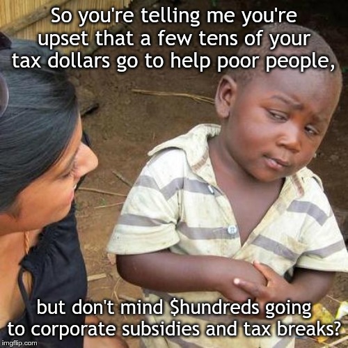 Third World Skeptical Kid | So you're telling me you're upset that a few tens of your tax dollars go to help poor people, but don't mind $hundreds going to corporate subsidies and tax breaks? | image tagged in memes,third world skeptical kid | made w/ Imgflip meme maker