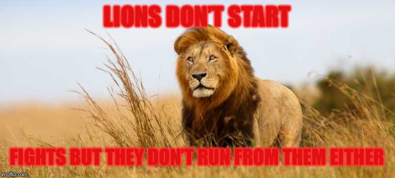  LIONS DON’T START; FIGHTS BUT THEY DON’T RUN FROM THEM EITHER | made w/ Imgflip meme maker