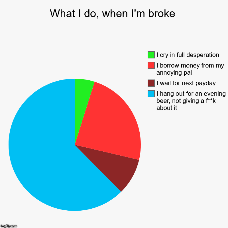 What I do, when I'm broke | I hang out for an evening beer, not giving a f**k about it, I wait for next payday, I borrow money from my annoy | image tagged in charts,pie charts | made w/ Imgflip chart maker