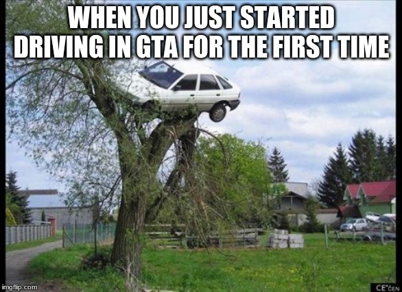 Secure Parking Meme | WHEN YOU JUST STARTED DRIVING IN GTA FOR THE FIRST TIME | image tagged in memes,secure parking | made w/ Imgflip meme maker