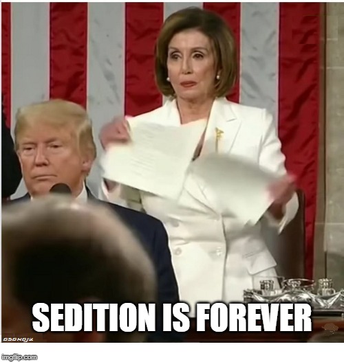 SEDITION IS FOREVER | image tagged in qanon,sotu | made w/ Imgflip meme maker