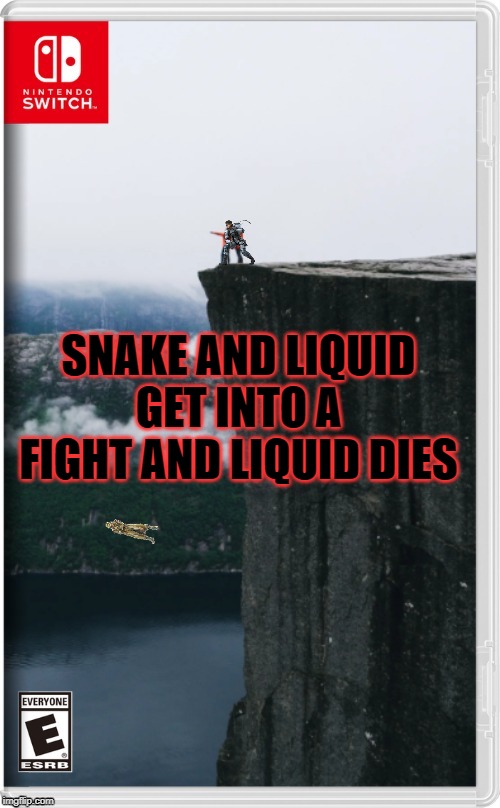 GUYS STOP FIGHTING EACH OTH--oh... | SNAKE AND LIQUID GET INTO A FIGHT AND LIQUID DIES | image tagged in nintendo switch,memes,metal gear,solid snake,liquid snake | made w/ Imgflip meme maker